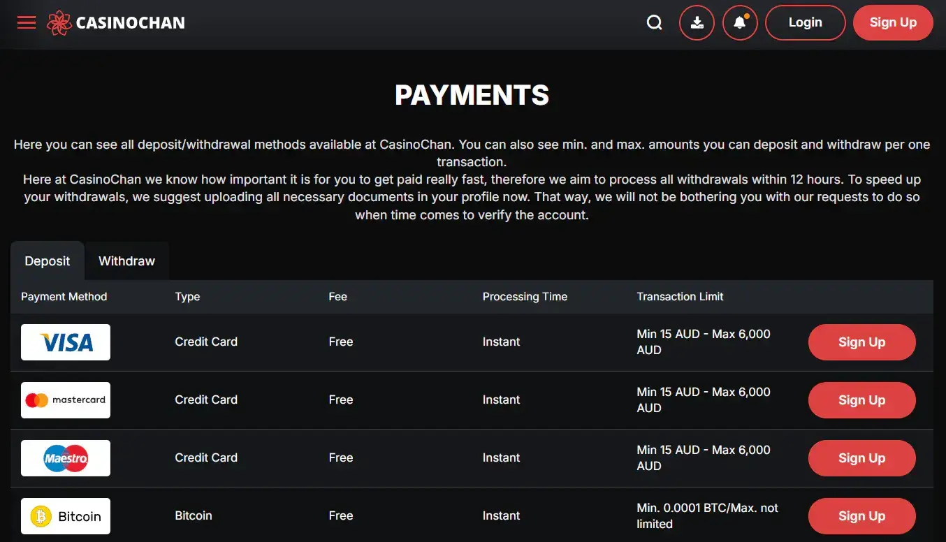CasinoChan Australian payments table showing AUD card and cryptocurrency rows
